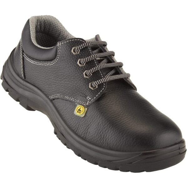 ESD Safety Shoes